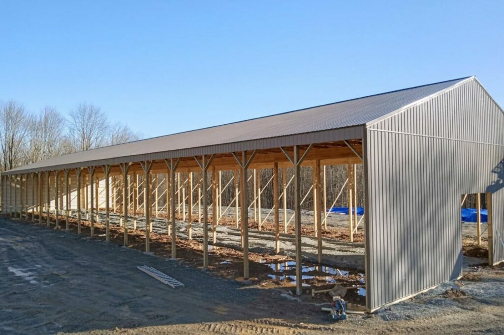 Build the Frame and Install the Roof